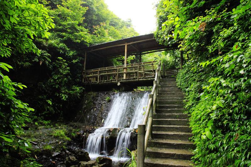 安徽龙泉洞、花海家朋梅干岭梯田、畲族文化村、夏霖九天银瀑二日