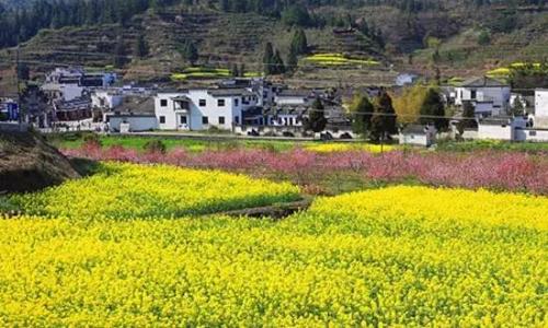 【买一送一】安徽鸠鹚古镇 峨桥古镇一日